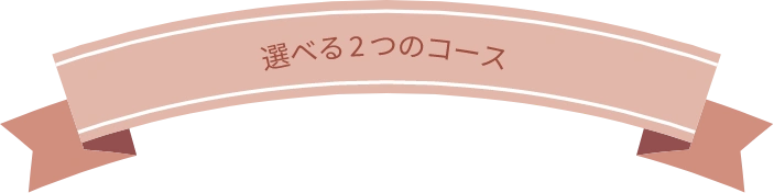 2つの料金コースを選べます。